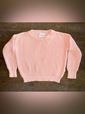 Gigi and Max Light Pink Sweater size 12-18 mo